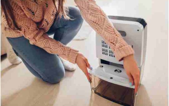 5 Things to Look For When Choosing the Best Commercial Dehumidifier.
