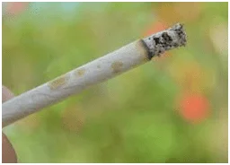 Do Cigarettes Expire After Open & How Long Cigarettes Last? 1 image