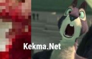 Kekma.Net: Why it is famous among people & Is It Safe?