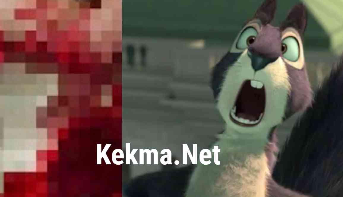Kekma.Net: Why Kekma Famous Among People (Is It Safe?)