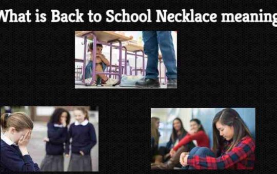 What is Back to School Necklace meaning? (Auguest-2022)