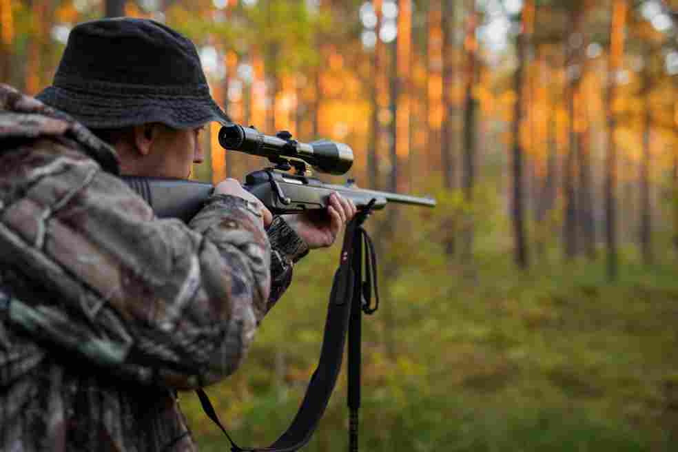 How to Select a Hunting Rifle: Everything You Need to Know