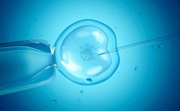 What are the Different Types of Fertility Treatments?