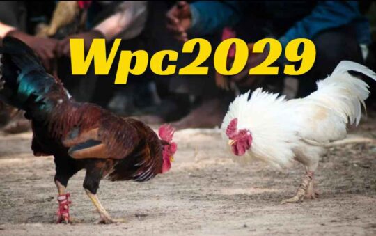 Wpc2029 Login Live Dashboard (Complete Detail)