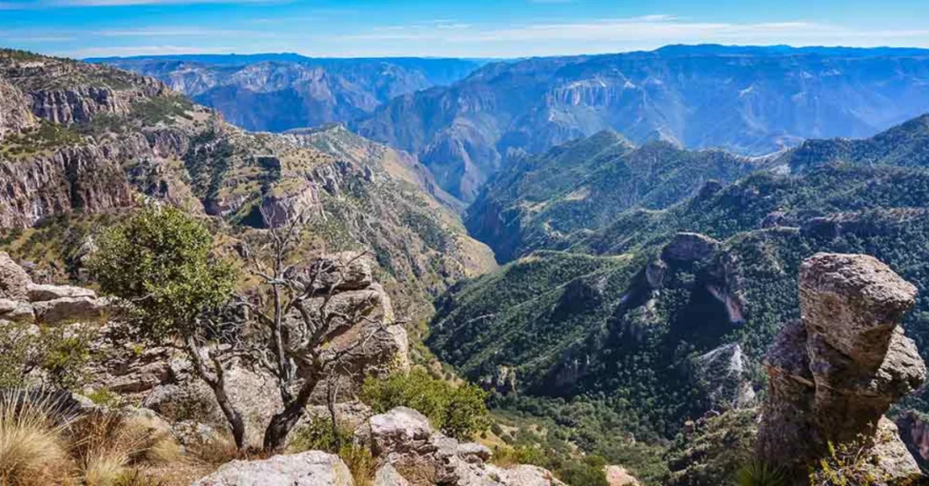 Exploring Copper Canyon's Grandeur